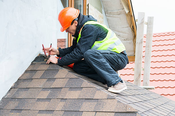 Best Roof Repair Services  in Beach, ND