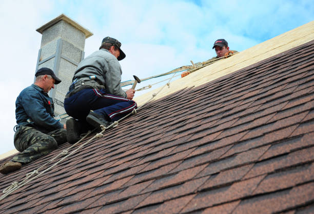 Best Metal Roofing Contractor  in Beach, ND