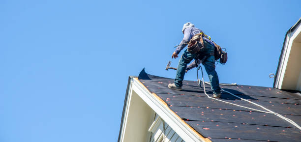 Best Roof Maintenance Services  in Beach, ND